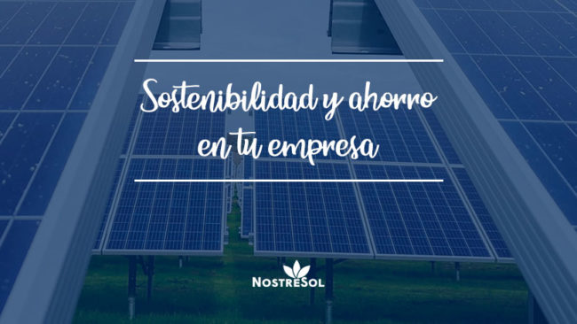 Consejos-para-ahorrar-y-ser-más-sostenible-en-tu-empresa