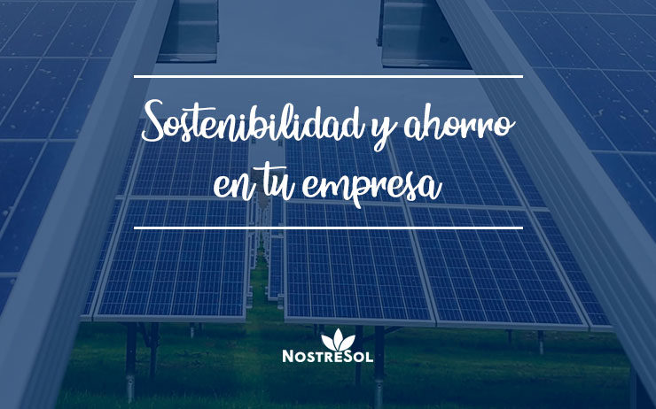 Consejos-para-ahorrar-y-ser-más-sostenible-en-tu-empresa