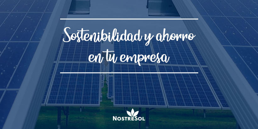 Consejos-para-ahorrar-y-ser-más-sostenible-en-tu-empresa