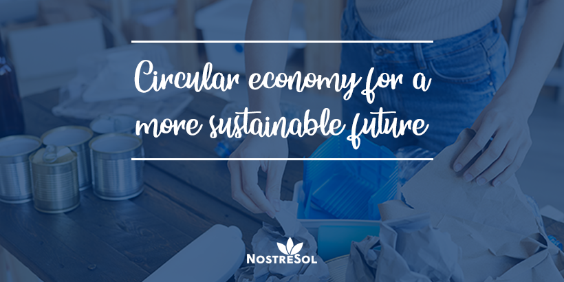 circular economy for a more sustainable future woman managing her household's circular economy by sorting the waste she generates in her daily food intake