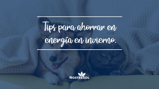 cómo ahorrar energía en invierno