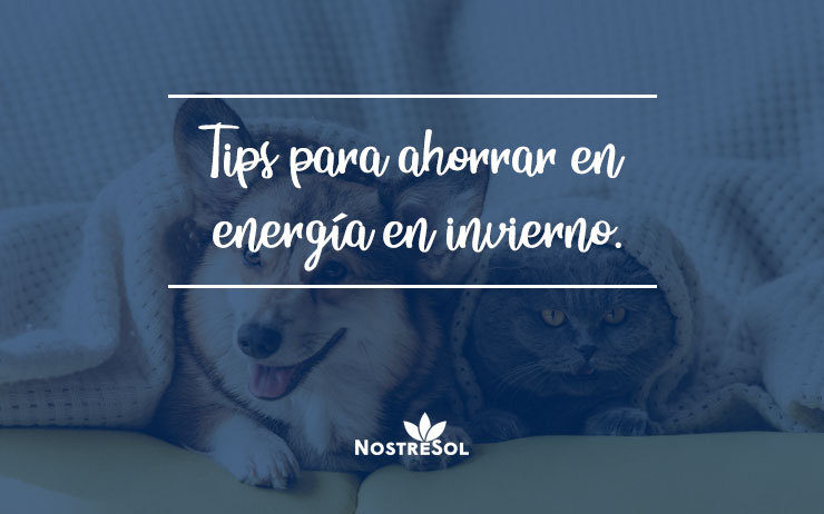 invierno cómo ahorrar energía en invierno