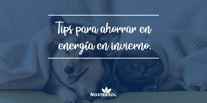 invierno cómo ahorrar energía en invierno