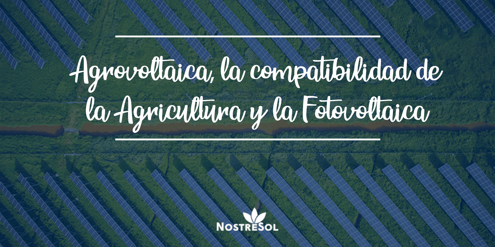 campo agrícola con paneles fotovoltaicos