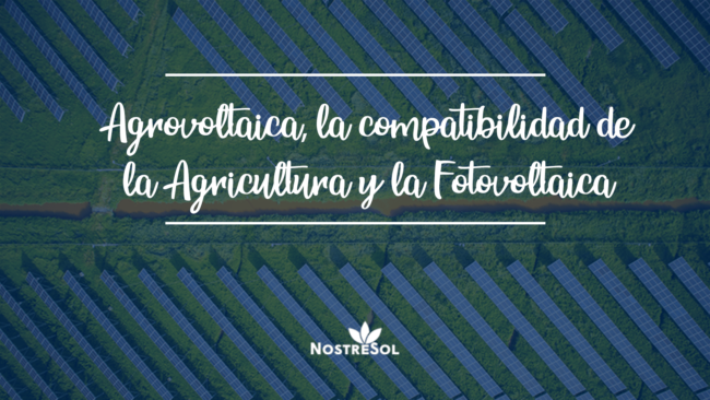 campo agrícola con paneles fotovoltaicos