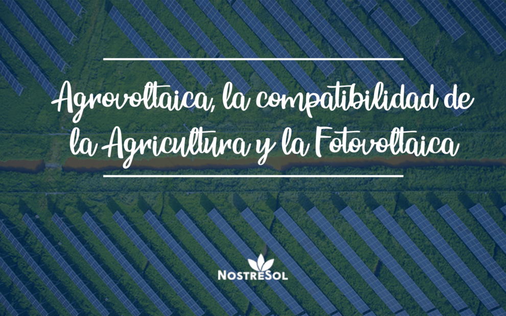 Agrovoltaica- la compatibilidad de la Agricultura y la Fotovoltaica-min campo agrícola con paneles fotovoltaicos