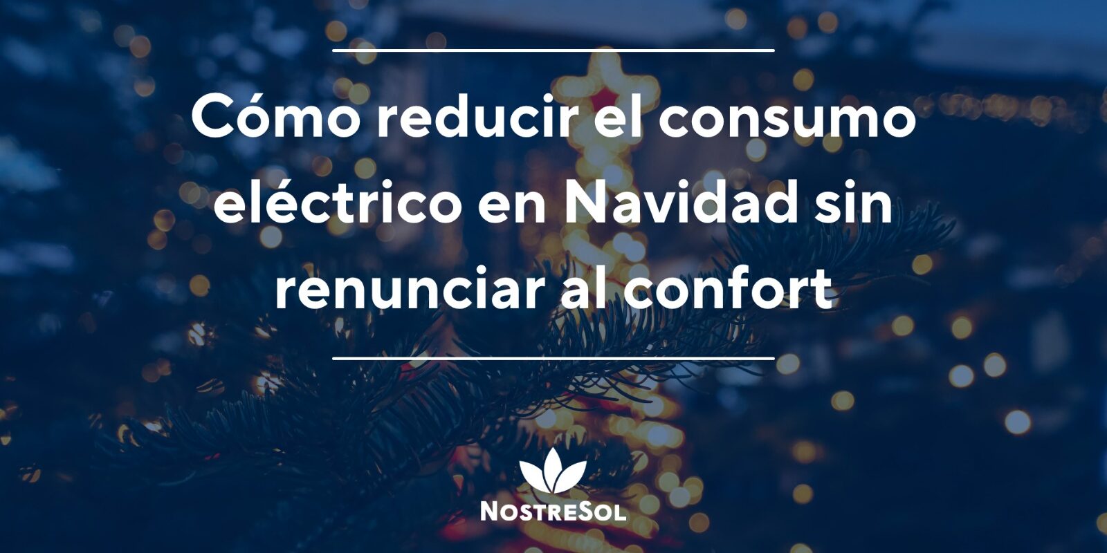 WhatsApp Image 2025-11-27 at 09.01.38