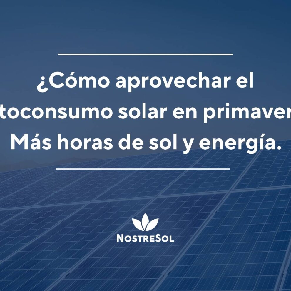 ¿Cómo aprovechar el autoconsumo solar en primavera? Más horas de sol y energía.