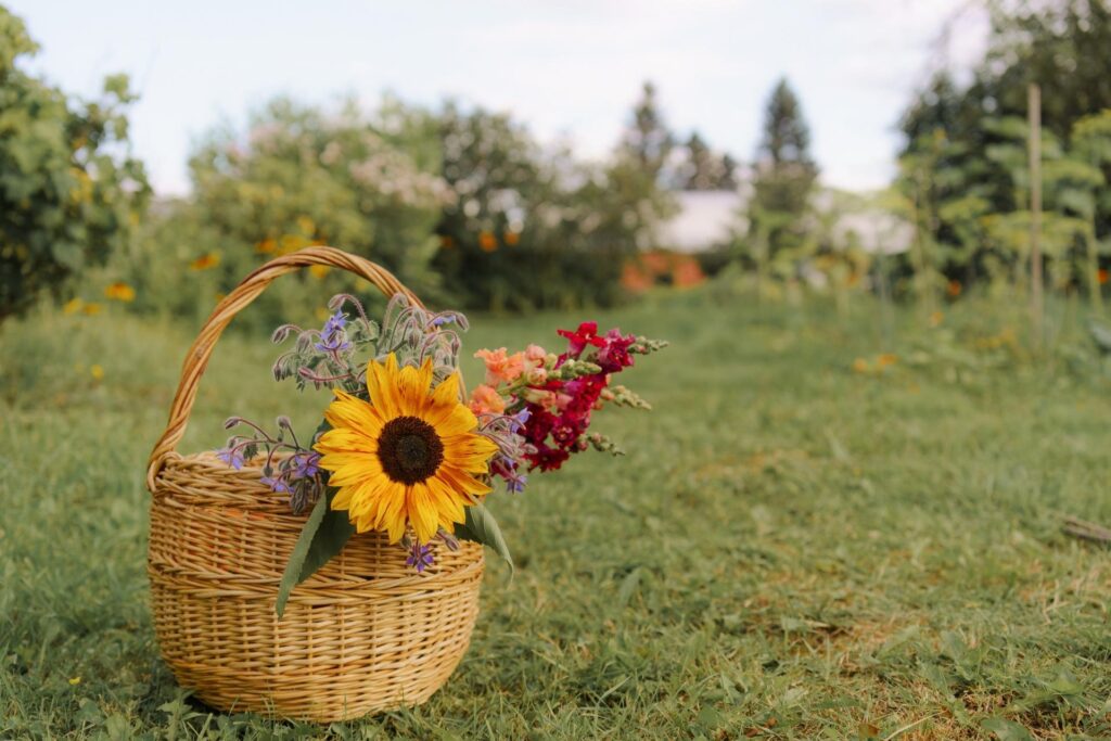 producción solar en septiembre cambia por la temperatura