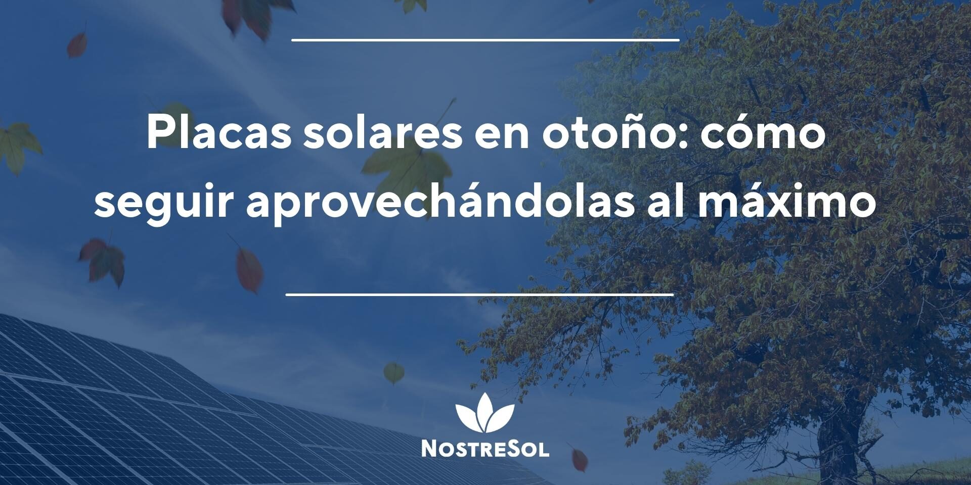 Placas solares en otoño: cómo seguir aprovechándolas al máximo