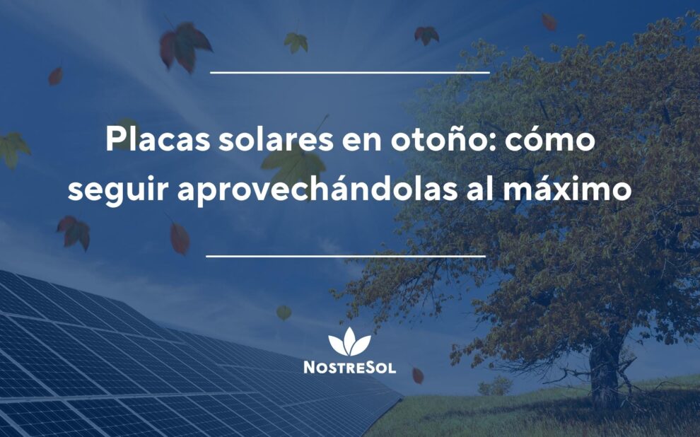 Placas solares en otoño: cómo seguir aprovechándolas al máximo