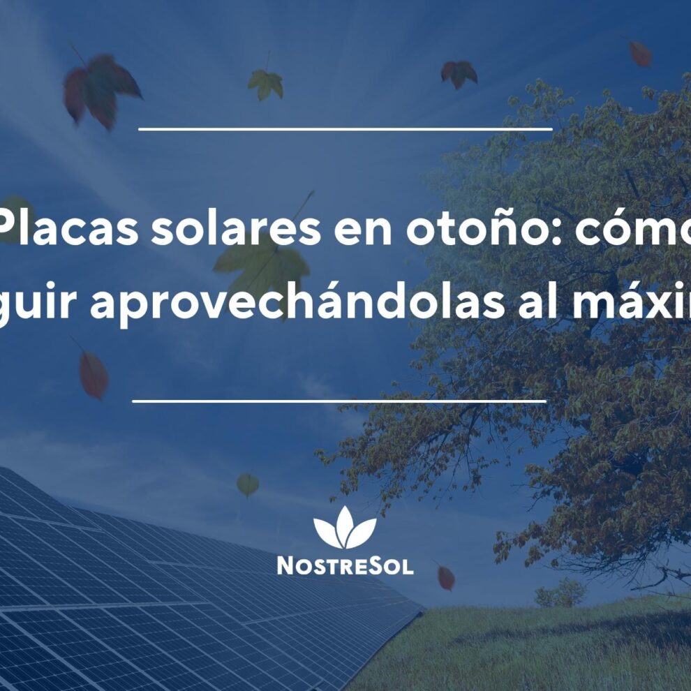 Placas solares en otoño: cómo seguir aprovechándolas al máximo Placas solares en otoño: cómo seguir aprovechándolas al máximo